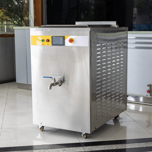 Large Microthermal Pasteurizer Curd