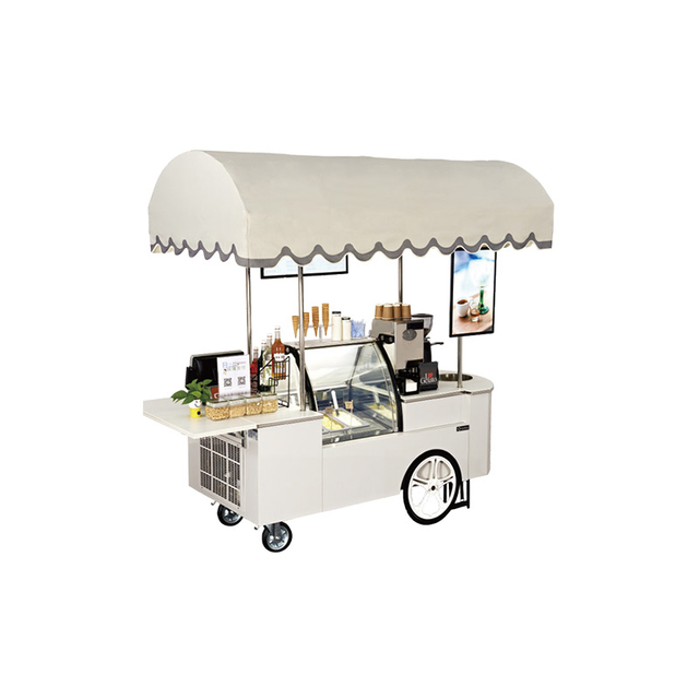 China Beautiful Easy Operation Push Ice Cream Carts With Awning